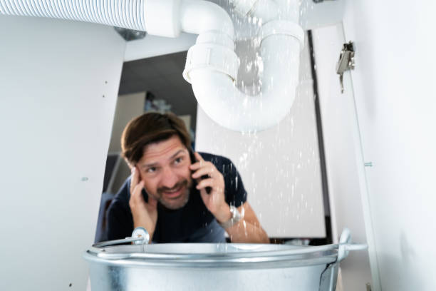 Best Affordable Plumbing Services  in Port Richey, FL