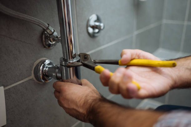 Best Clogged Drain Plumber  in Port Richey, FL
